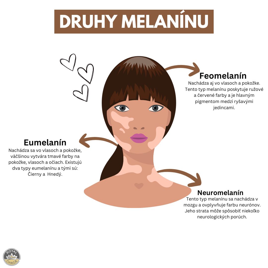 druhy melanínu